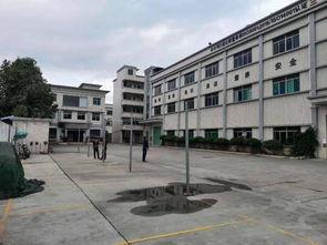 东莞石排最新爆料,揭秘城市变迁背后的故事  第1张